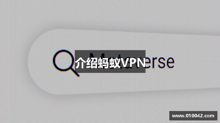 介绍蚂蚁VPN